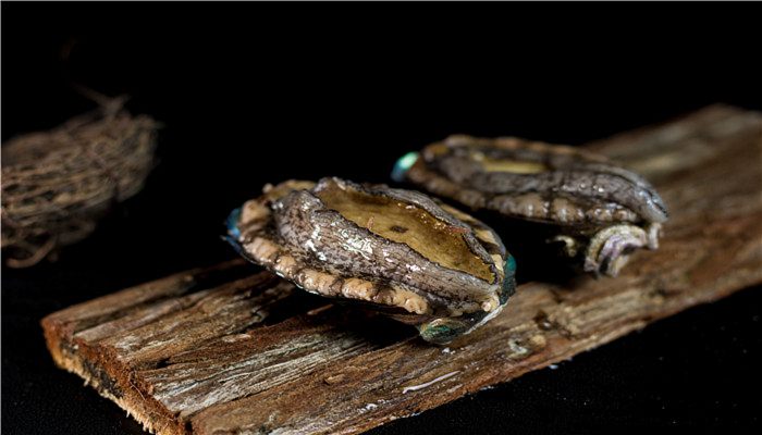 鲍鱼是不是真正的鱼 如何选择鲍鱼