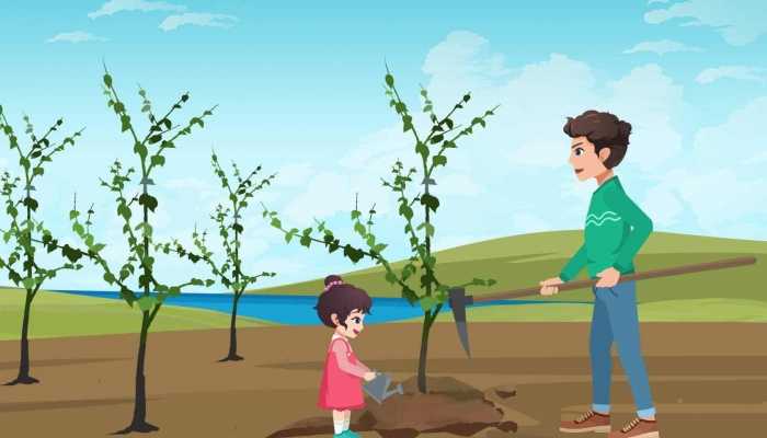 什么叫速生苗木 优良的速生苗木有哪些