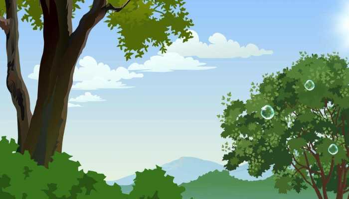 梭梭树适合种在什么地方 梭梭树的功效与作用