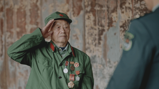 英雄之光丨橄榄树下,酿酒等你70年…… 英雄之光丨橄榄树下,酿酒等你70年……