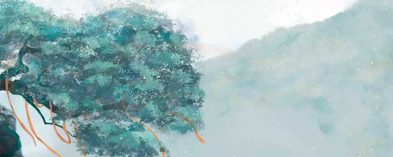 速生树多久可以成材 世界上最古老的树种