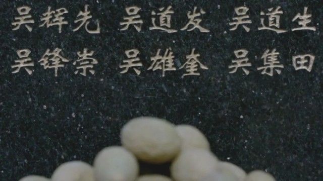 英雄之光丨橄榄树下,酿酒等你70年…… 英雄之光丨橄榄树下,酿酒等你70年……