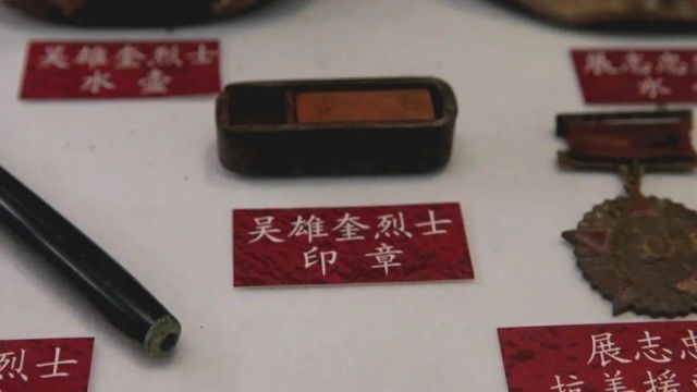 英雄之光丨橄榄树下,酿酒等你70年…… 英雄之光丨橄榄树下,酿酒等你70年……