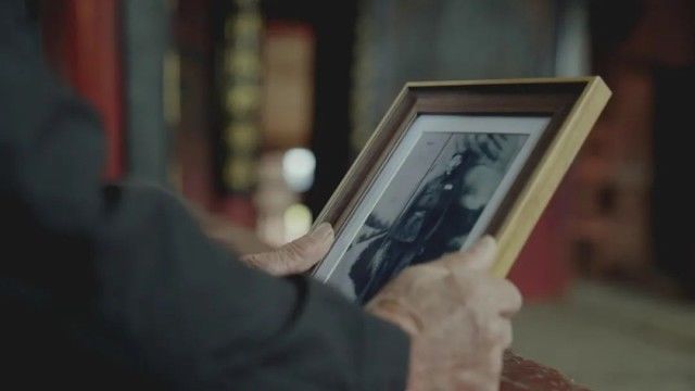 英雄之光丨橄榄树下,酿酒等你70年…… 英雄之光丨橄榄树下,酿酒等你70年……