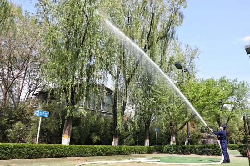 北京中心城区4月4日至7日进入柳树飞絮期 北京中心城区4月4日至7日进入柳树飞絮期