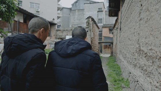 英雄之光丨橄榄树下,酿酒等你70年…… 英雄之光丨橄榄树下,酿酒等你70年……