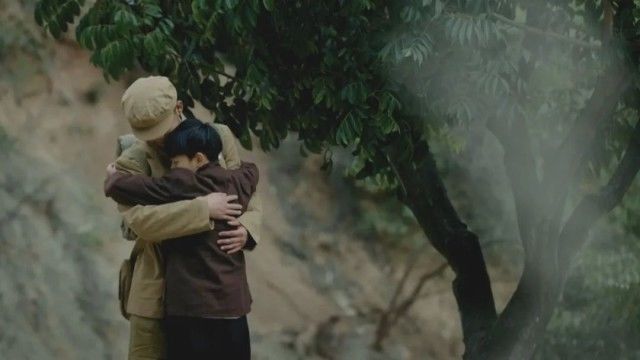 英雄之光丨橄榄树下,酿酒等你70年…… 英雄之光丨橄榄树下,酿酒等你70年……