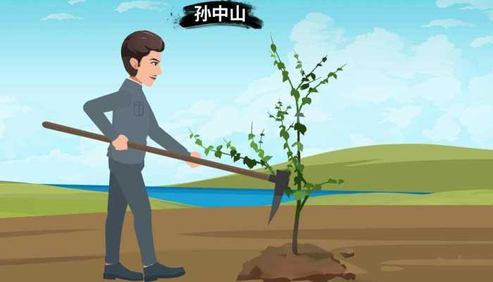 什么叫速生木 园林绿化常用的速生树种