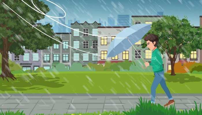 上海大风呼呼吹了一夜 目前大风预警生效中