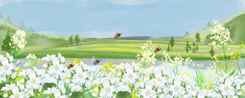 今年第一季度旅游市场开门红 多地旅游业慢慢复苏