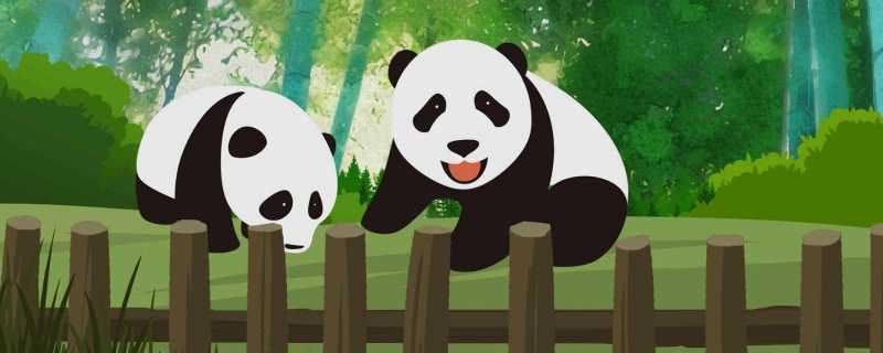 动物园称未经许可不得直播丫丫 未经书面许可进行直播违规