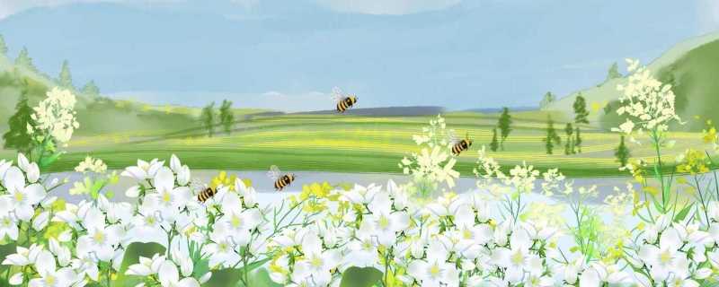 清明节祝福语简短一句 清明节祝福语应该怎么说好