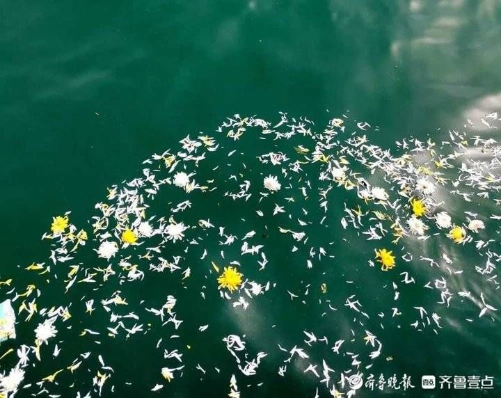 清明时节|让逝者骨灰归于天然,济南生态葬人数逐年增多 清明时节|让逝者骨灰归于天然,济南生态葬人数逐年增多