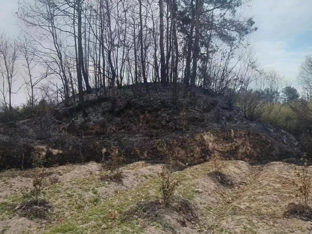 紧迫提示！近期咸宁已有人被拘