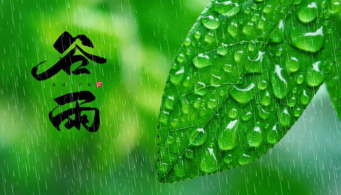 2023谷雨是几月几日几时 2023年谷雨是4月20号16时