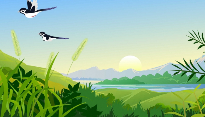 杭州今起迎4—5天连晴天气 最低气温再次跌回个位数