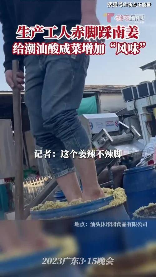汕头再现工人赤脚踩腌菜 汕头再现工人赤脚踩腌菜