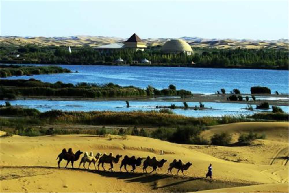 如果地球上的沙漠,变成绿地会产生什么?没有幻想中那么夸姣! 如果地球上的沙漠,变成绿地会产生什么?没有幻想中那么夸姣!