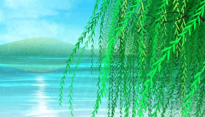 飞絮来袭 北京天津等地进入一级防飞絮阶段