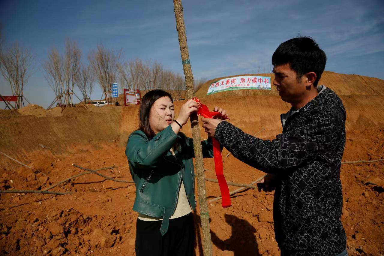 喜接“连理枝 ”同植“夫妻树” 南召县20余对新人团体栽培“爱情留念林” 喜接“连理枝 ”同植“夫妻树” 南召县20余对新人团体栽培“爱情留念林”