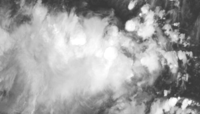 今年第一号台风珊瑚什么时候生成 1号台风胚胎高清卫星云图发展情况