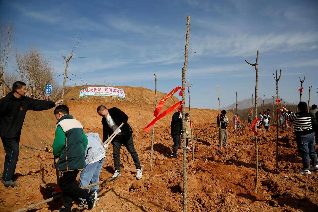 喜接“连理枝 ”同植“夫妻树” 南召县20余对新人团体栽培“爱情留念林” 喜接“连理枝 ”同植“夫妻树” 南召县20余对新人团体栽培“爱情留念林”