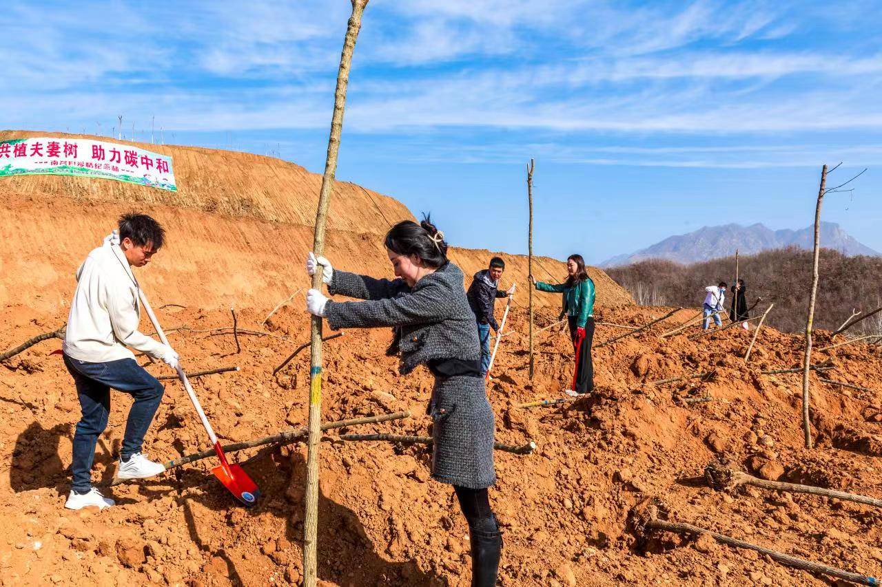 喜接“连理枝 ”同植“夫妻树” 南召县20余对新人团体栽培“爱情留念林” 喜接“连理枝 ”同植“夫妻树” 南召县20余对新人团体栽培“爱情留念林”