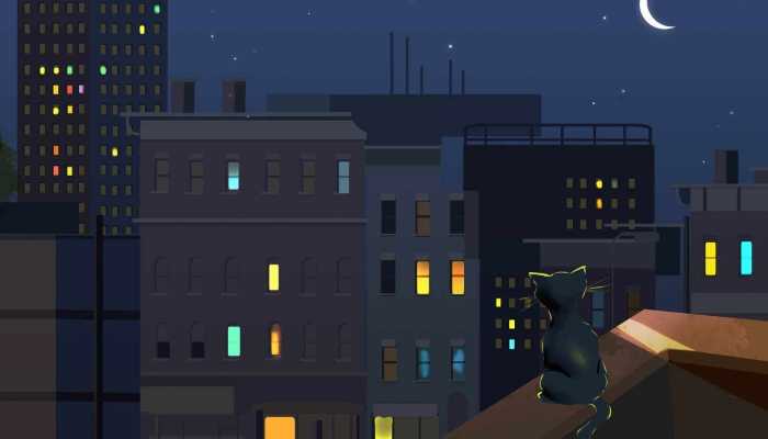 ​高校凌晨发录取通知要求半小时回复是怎么回事 高校为什么凌晨发录取通知要求半小时回复