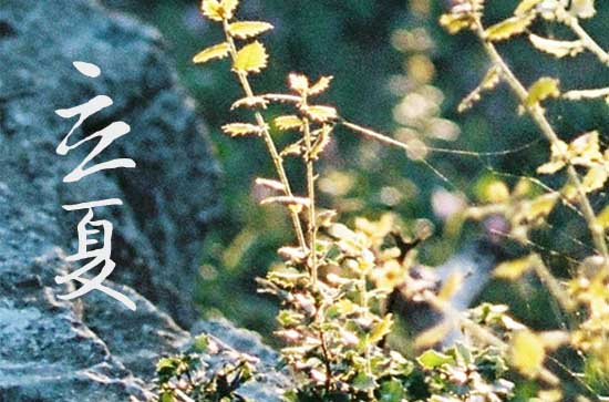 立夏有什么禁忌吗 立夏的由来 立夏有什么禁忌吗 立夏的由来