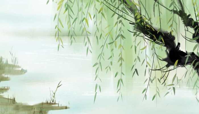 北京天津周末飞絮高发 该如何预防柳絮过敏