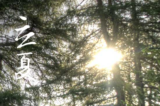 2023年立夏是几时几分几秒 立夏习俗有哪些 2023年立夏是几时几分几秒 立夏习俗有哪些