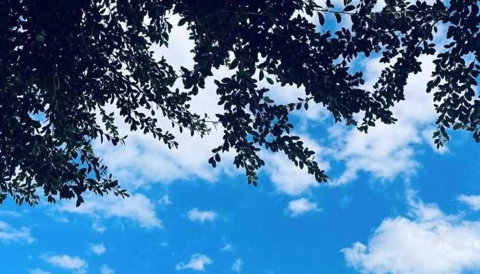 今明浙江大部晴好气温飙升 杭州下周一最高温或达26℃