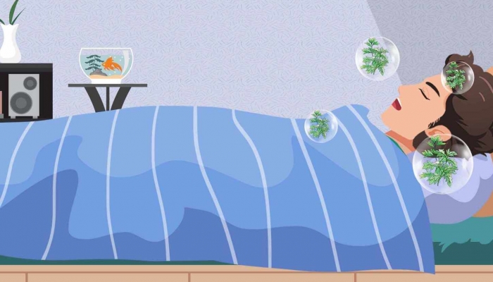 起床后不该立马叠被子是怎么回事 有关实验研究