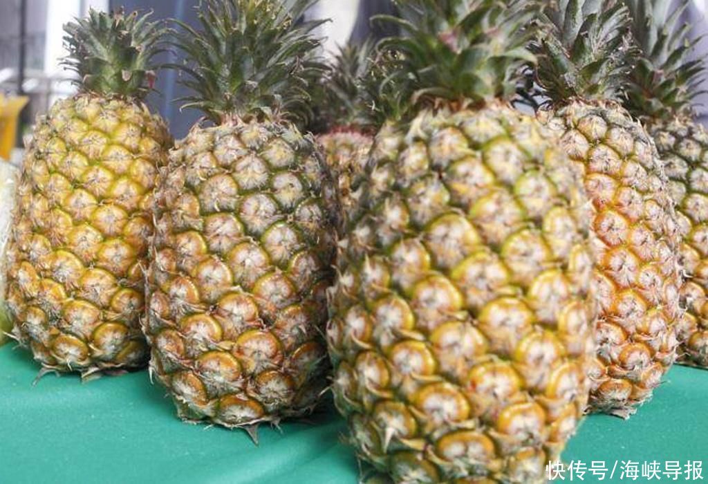 台当局为推输日凤梨又现“新操作”，台农业专家批：摧残农人