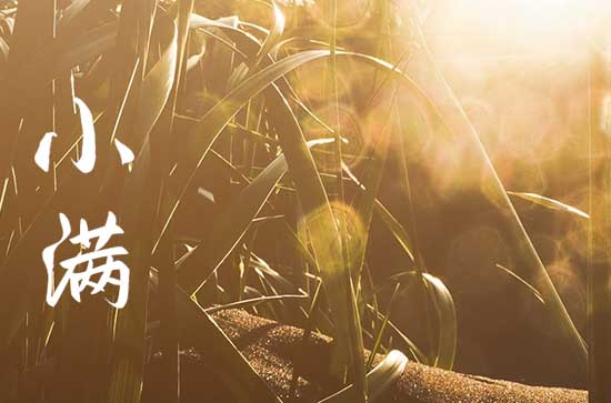 2023年小满哪一天