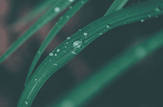 2023年谷雨是几月几号几点几分 2023年谷雨是什么时候开始