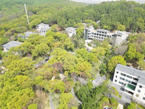 住在武汉最大生态公园,是种什么体会? 住在武汉最大生态公园,是种什么体会?