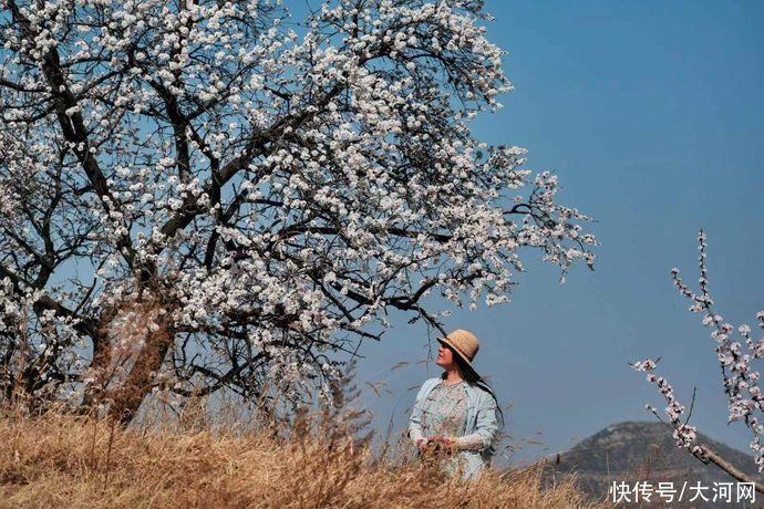 聚集郑州区域经济高质量展开|新密:古城焕新颜 聚集郑州区域经济高质量展开|新密:古城焕新颜