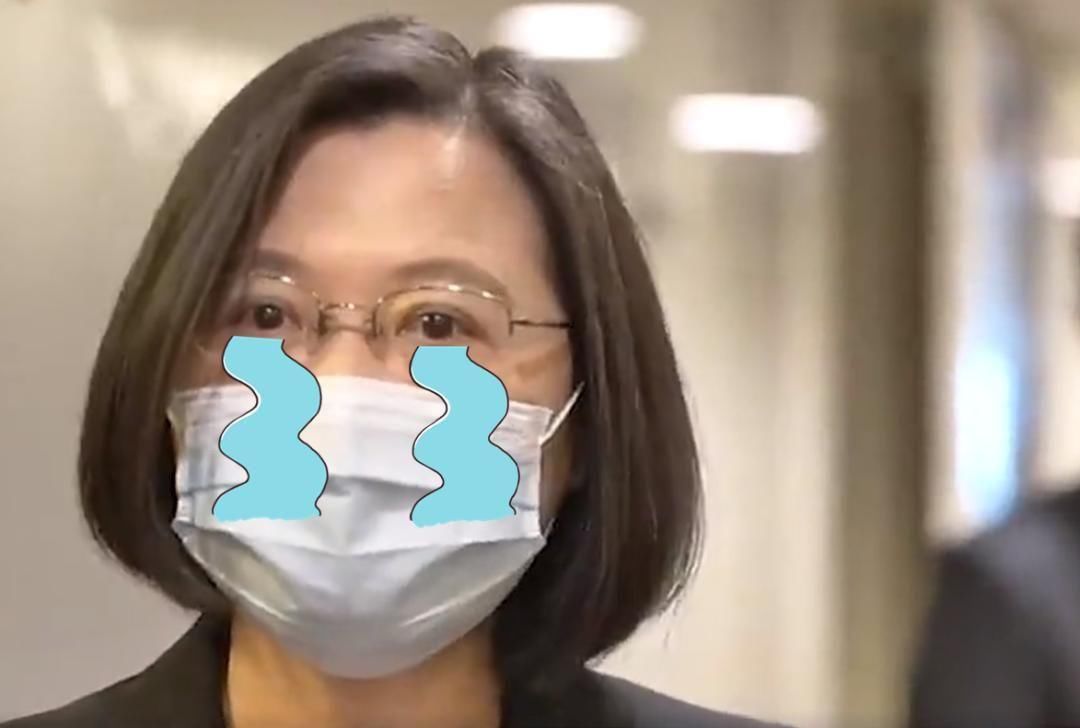 数典忘祖！23年前蔡英文曾说“我是中国人，我读中国书”