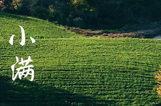 2023年小满是哪一天 2023年小满是几点几分几秒