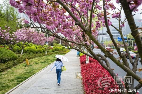 信号山:建造数字政府 山东靠什么成为“新标杆” 信号山:建造数字政府 山东靠什么成为“新标杆”
