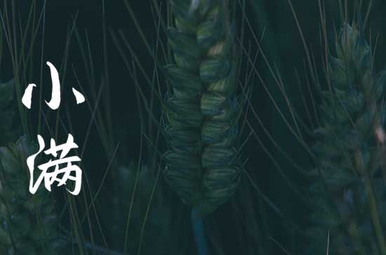 2023啥时候小满 2023啥时候小满