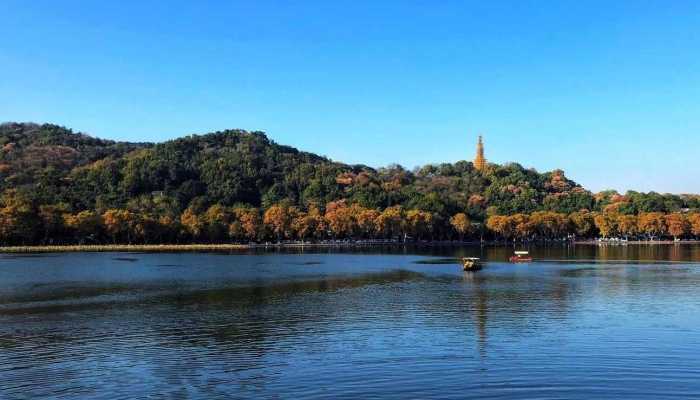 在杭州西湖遭遇划船刺客是什么意思 在杭州西湖遭遇划船刺客是什么情况