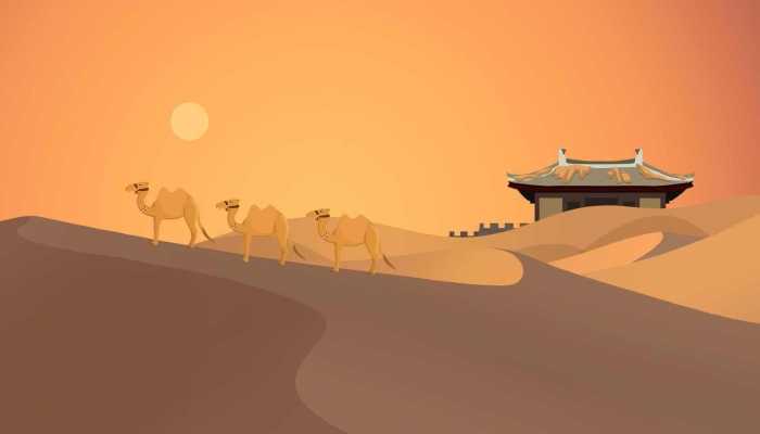 ​景区骆驼被轮番棒打屈膝求饶是什么情况 景区骆驼被轮番棒打屈膝求饶该如何处理