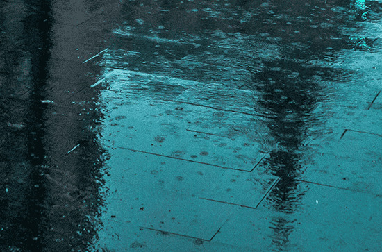 描写谷雨的诗词 谷雨节气诗词 描写谷雨的诗词 谷雨节气诗词