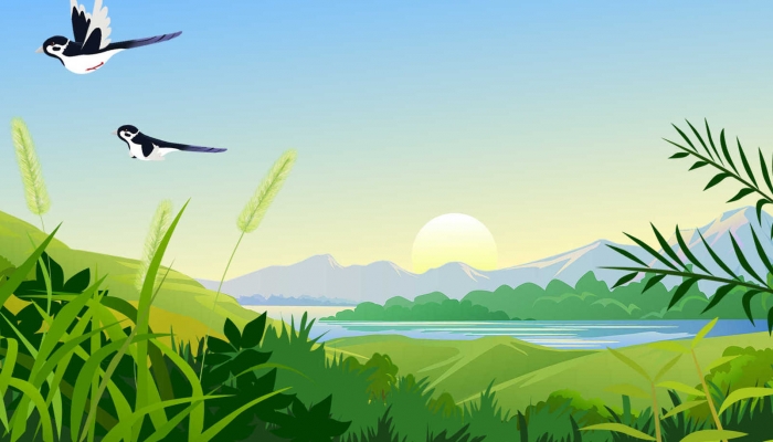 武汉今明两天晴好天气持续 星期三起会有一波降雨