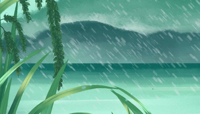 青岛本周初有大风降温天气 周一、周四有阵雨