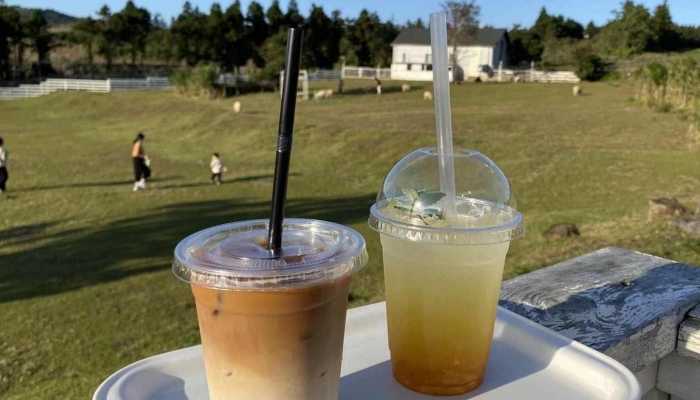 苏州新晋网红竹筒奶茶 有奶茶店日销1000杯竹筒奶茶