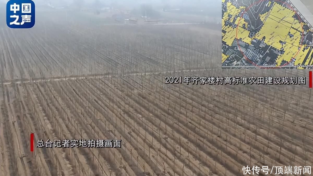 甘肃庆阳回应“数字造田”:已发动整改和追责,超10人被查 甘肃庆阳回应“数字造田”:已发动整改和追责,超10人被查