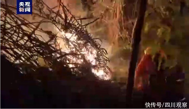 广西河池山火已熄灭 已依法传唤1名犯罪嫌疑人 广西河池山火已熄灭 已依法传唤1名犯罪嫌疑人